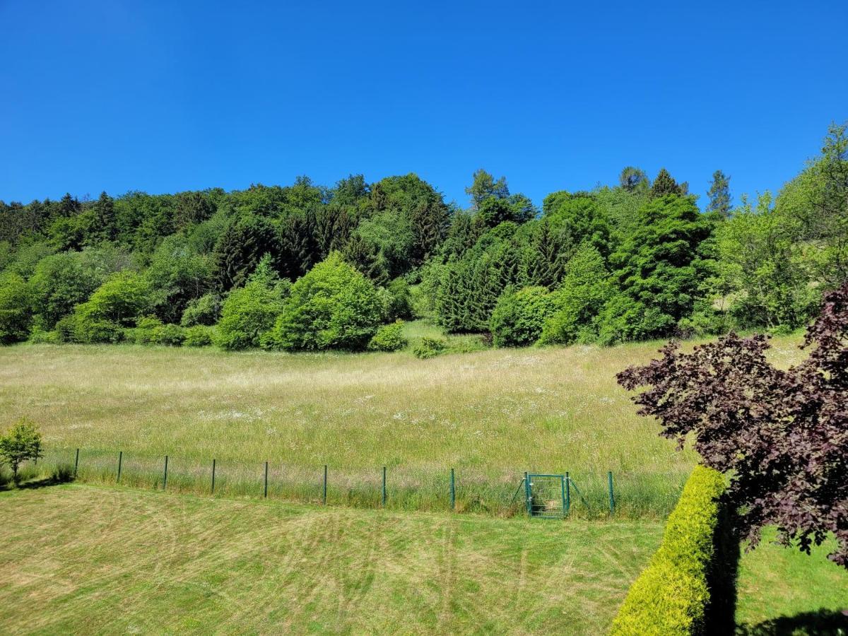 Ferienwohnung Forsthaus Willingen  Esterno foto